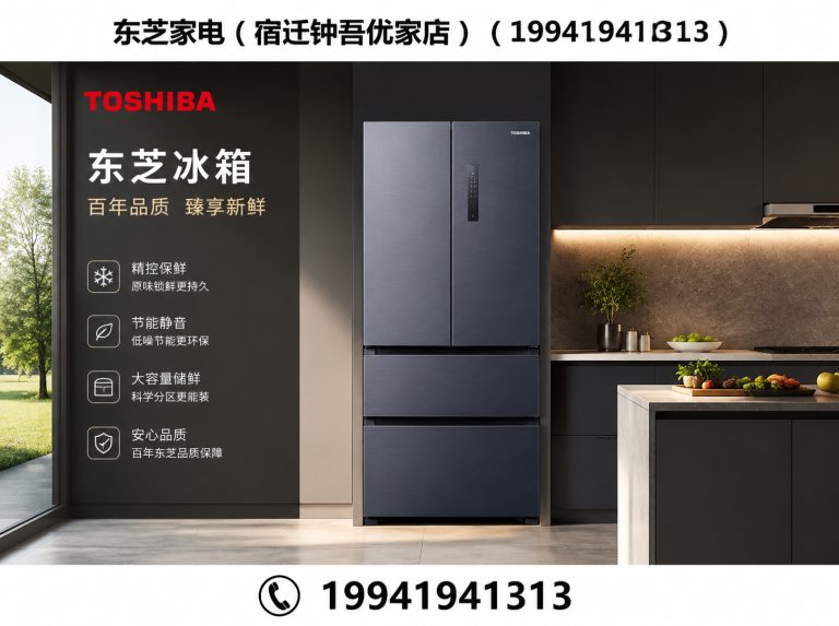 泗阳县东芝洗烘套装展示图